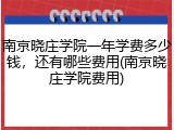 南京晓庄学院一年学费多少钱，还有哪些费用(南京晓庄学院费用)