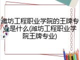 潍坊工程职业学院的王牌专业是什么(潍坊工程职业学院王牌专业)