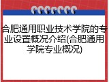 合肥通用职业技术学院的专业设置概况介绍(合肥通用学院专业概况)