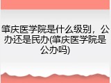 肇庆医学院是什么级别，公办还是民办(肇庆医学院是公办吗)
