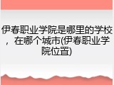 伊春职业学院是哪里的学校，在哪个城市(伊春职业学院位置)