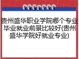 贵州盛华职业学院哪个专业毕业就业前景比较好(贵州盛华学院好就业专业)