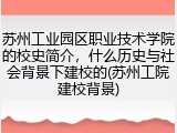 苏州工业园区职业技术学院的校史简介，什么历史与社会背景下建校的(苏州工院建校背景)