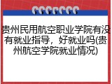 贵州民用航空职业学院有没有就业指导，好就业吗(贵州航空学院就业情况)