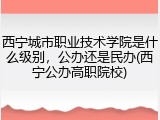 西宁城市职业技术学院是什么级别，公办还是民办(西宁公办高职院校)