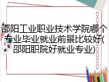 邵阳工业职业技术学院哪个专业毕业就业前景比较好(邵阳职院好就业专业)