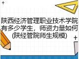 陕西经济管理职业技术学院有多少学生，师资力量如何(陕经管院师生规模)