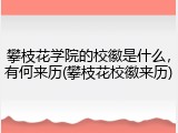 攀枝花学院的校徽是什么，有何来历(攀枝花校徽来历)
