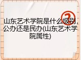 山东艺术学院是什么级别，公办还是民办(山东艺术学院属性)