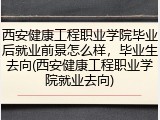 西安健康工程职业学院毕业后就业前景怎么样，毕业生去向(西安健康工程职业学院就业去向)