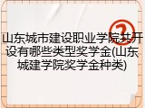 山东城市建设职业学院共开设有哪些类型奖学金(山东城建学院奖学金种类)