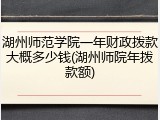 湖州师范学院一年财政拨款大概多少钱(湖州师院年拨款额)