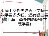 上海工商外国语职业学院一年学费多少钱，还有哪些费用(上海工商外国语职业学院学费)