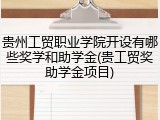贵州工贸职业学院开设有哪些奖学和助学金(贵工贸奖助学金项目)