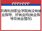 共青科技职业学院有没有就业指导，好就业吗(就业指导及就业情况)
