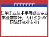 吕梁职业技术学院哪些专业就业前景好，为什么(吕梁职院好就业专业)