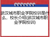 武汉城市职业学院校训是什么，校长介绍(武汉城市职业学院校训)
