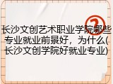 长沙文创艺术职业学院哪些专业就业前景好，为什么(长沙文创学院好就业专业)