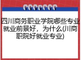 四川商务职业学院哪些专业就业前景好，为什么(川商职院好就业专业)