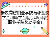 武汉商贸职业学院有哪些奖学金和助学金呢(武汉商贸职业学院奖助学金)