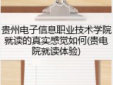 贵州电子信息职业技术学院就读的真实感觉如何(贵电院就读体验)