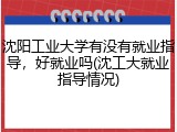 沈阳工业大学有没有就业指导，好就业吗(沈工大就业指导情况)