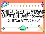 贵州民用航空职业学院就读期间可以申请哪些奖学金(贵州航院奖学金种类)