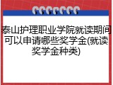 泰山护理职业学院就读期间可以申请哪些奖学金(就读奖学金种类)