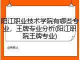 阳江职业技术学院有哪些专业，王牌专业分析(阳江职院王牌专业)