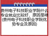 贵州电子科技职业学院什么专业就业比较好，原因是啥(贵州电子科技职业学院优势专业及原因)