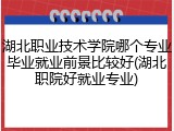 湖北职业技术学院哪个专业毕业就业前景比较好(湖北职院好就业专业)