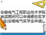 安徽电气工程职业技术学院就读期间可以申请哪些奖学金(安徽电气奖学金申请)