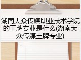 湖南大众传媒职业技术学院的王牌专业是什么(湖南大众传媒王牌专业)