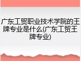 广东工贸职业技术学院的王牌专业是什么(广东工贸王牌专业)
