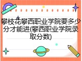 攀枝花攀西职业学院要多少分才能进(攀西职业学院录取分数)