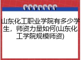 山东化工职业学院有多少学生，师资力量如何(山东化工学院规模师资)