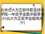 北京北大方正软件职业技术学院一年奖学金最多能拿多少(北大方正奖学金最高多少)