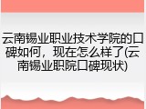 云南锡业职业技术学院的口碑如何，现在怎么样了(云南锡业职院口碑现状)