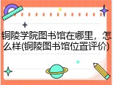 铜陵学院图书馆在哪里，怎么样(铜陵图书馆位置评价)