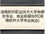湖南软件职业技术大学有哪些专业，就业前景如何(湖南软件大学专业就业)