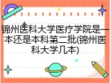 锦州医科大学医疗学院是一本还是本科第二批(锦州医科大学几本)