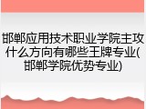 邯郸应用技术职业学院主攻什么方向有哪些王牌专业(邯郸学院优势专业)