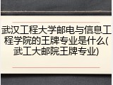 武汉工程大学邮电与信息工程学院的王牌专业是什么(武工大邮院王牌专业)
