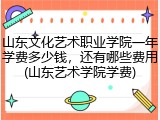 山东文化艺术职业学院一年学费多少钱，还有哪些费用(山东艺术学院学费)