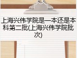 上海兴伟学院是一本还是本科第二批(上海兴伟学院批次)