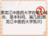 黑龙江中医药大学在哪个城市，是本科吗，第几批(黑龙江中医药大学批次)