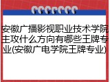 安徽广播影视职业技术学院主攻什么方向有哪些王牌专业(安徽广电学院王牌专业)