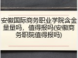 安徽国际商务职业学院含金量量吗，值得报吗(安徽商务职院值得报吗)