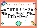 赤峰工业职业技术学院有没有院士，大概多少(赤峰工业职院有院士吗)