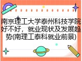 南京理工大学泰州科技学院好不好，就业现状及发展趋势(南理工泰科就业前景)